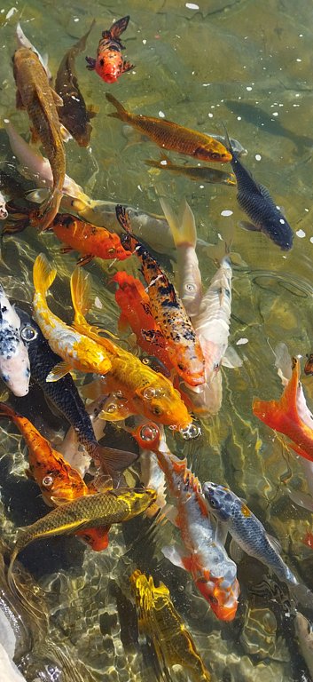 Фото из отзыва от 01.06.2025