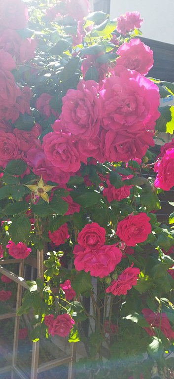 Фото из отзыва от 01.06.2025