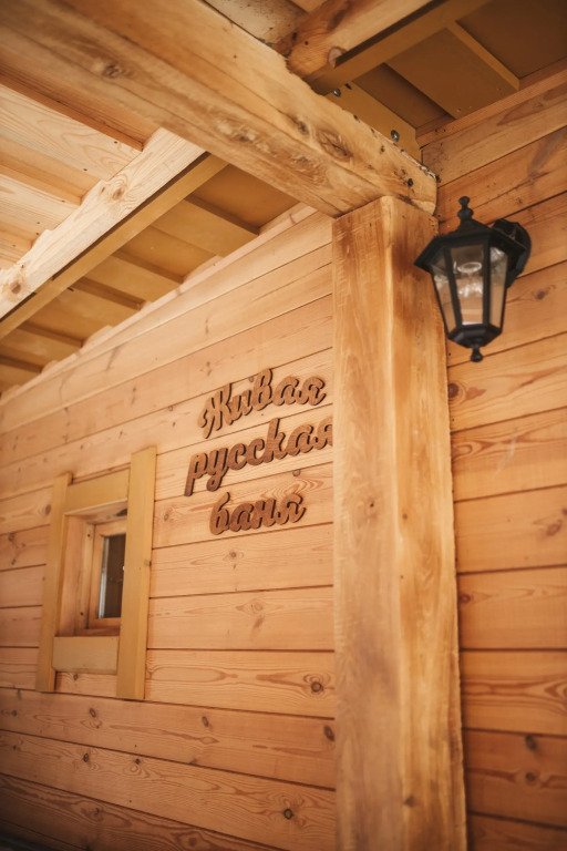 В деревушке на опушке, Пензенская область: фото 3