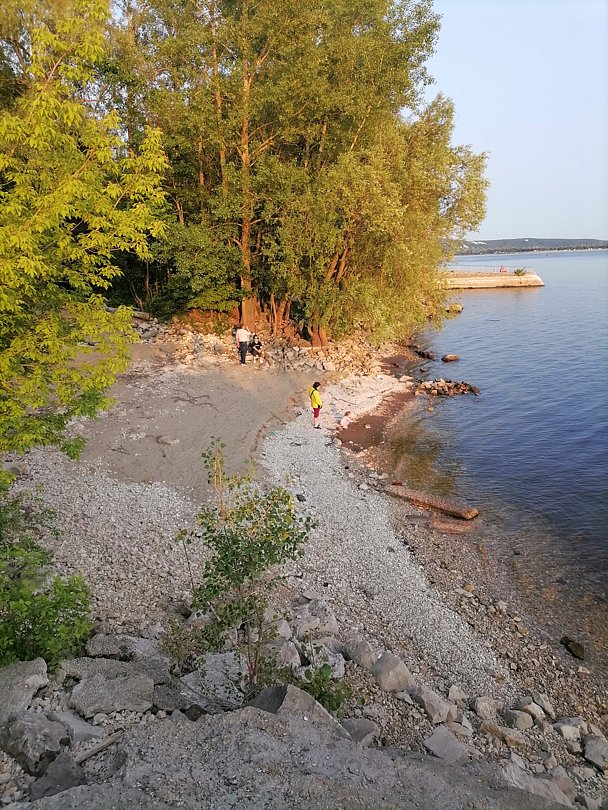 Фото 2 из отзыва о базе отдыха Ивушка