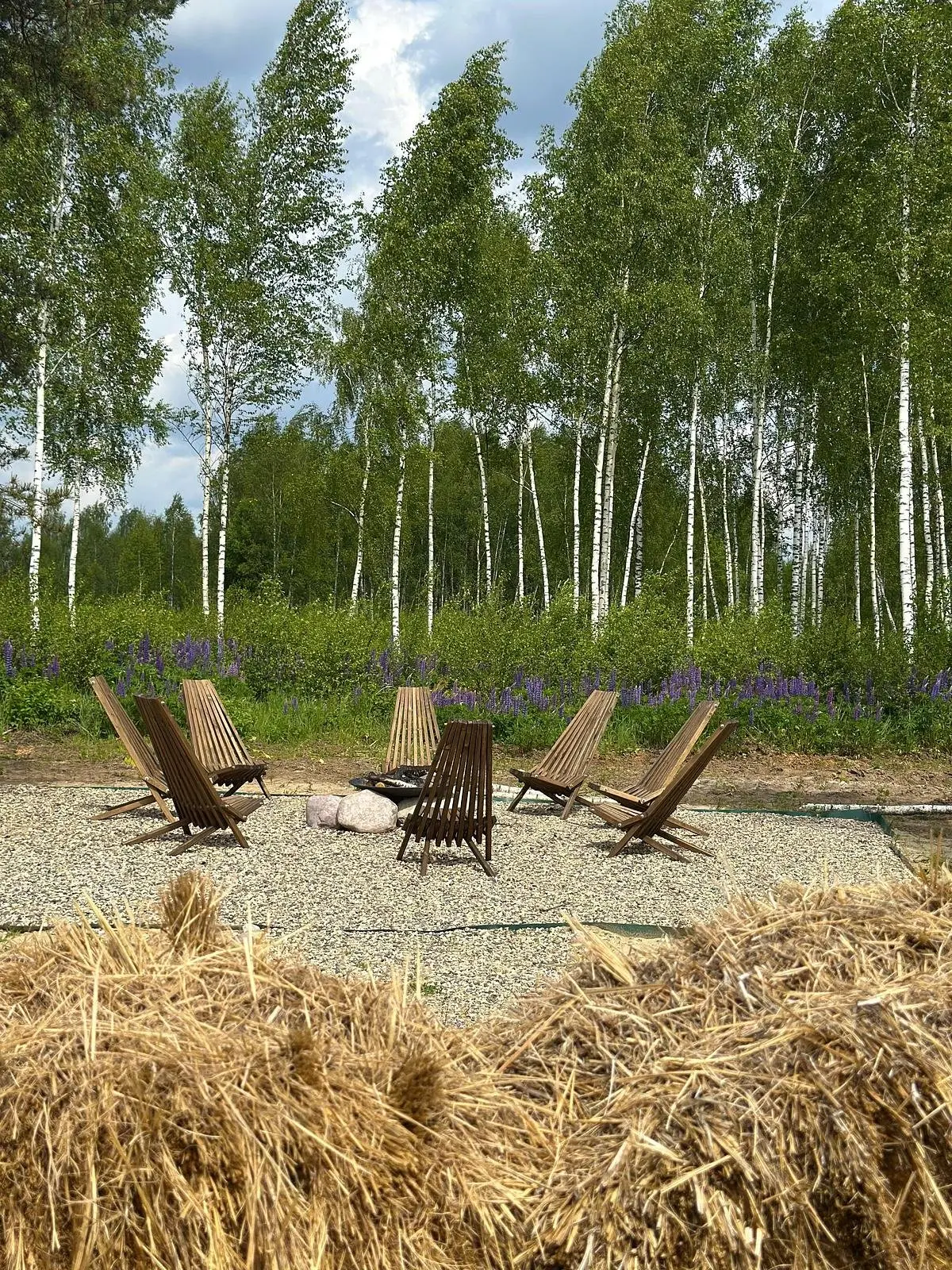 Nota bene, Московская область: фото 5