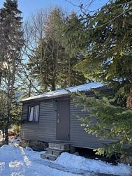 Глэмпинг В лесу