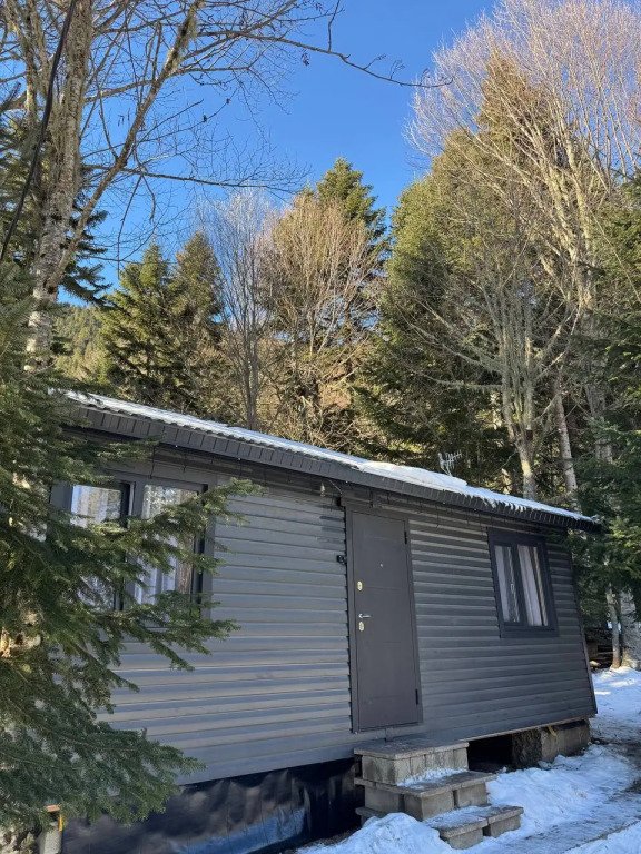 В лесу, Республика Карачаево-Черкесия: фото 2