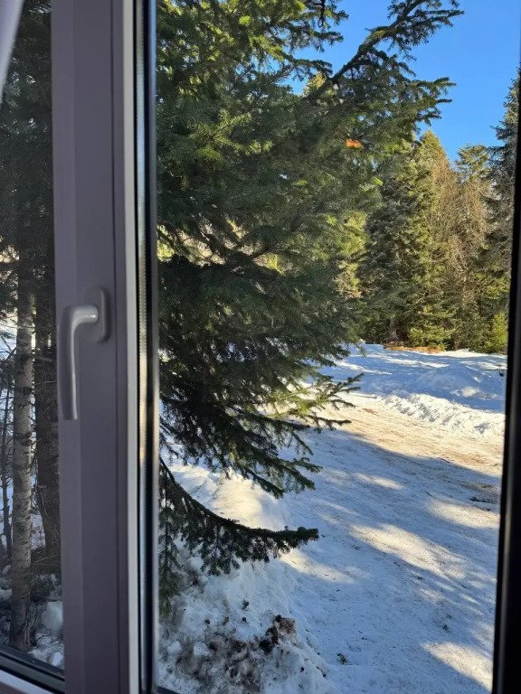 В лесу, Республика Карачаево-Черкесия: фото 4