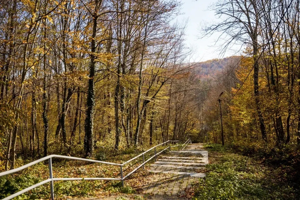 База отдыха Горный Воздух, Краснодарский край: фото 3