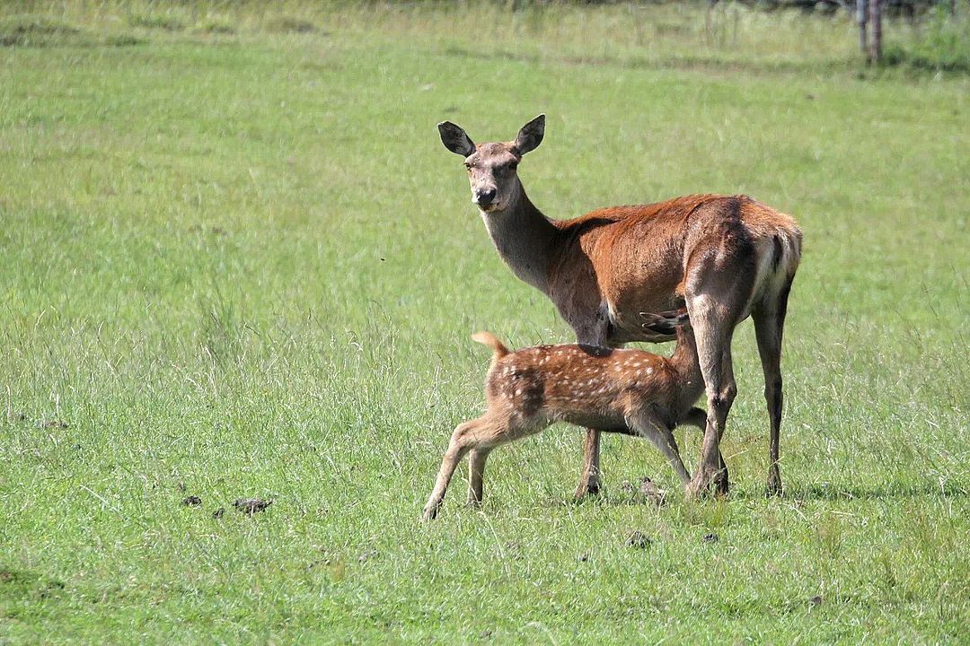ЭкоМир, Тверская область: фото 4