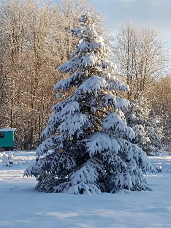 База отдыха Звездная Долина, Краснодарский край: фото 4