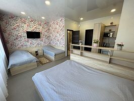 Студия 4-местная однокомнатная, База отдыха Родничок, Чебаркуль