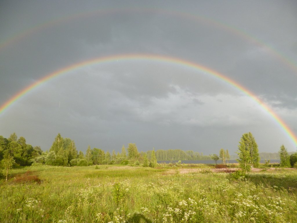 Кемпинг International Camp club Bereg Best Beach Stylish Coastline Ukleyno Lake National Park Valdai, Новгородская область, деревня Малое Уклейно 