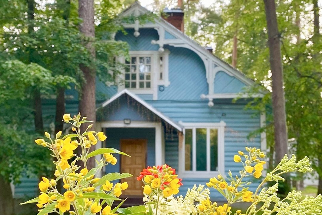 База отдыха Vyritsa Village, Ленинградская область, Вырица Гатчинский район