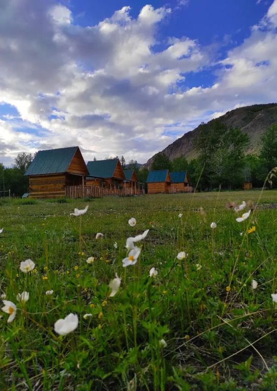Софийская Поляна, Горный Алтай (Республика Алтай): фото 3