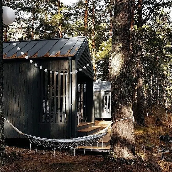 База отдыха Belka Forest House, Горный Алтай (Республика Алтай): фото 4