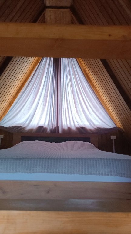 Домики Шалe, Гагрский район: фото 3