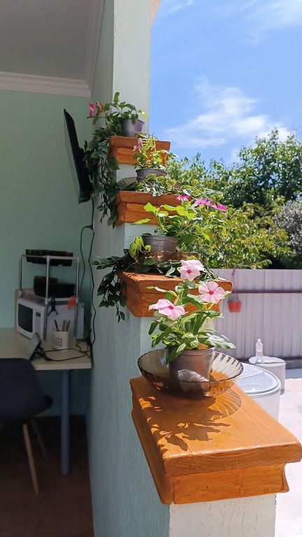 Домики Шалe, Гагрский район: фото 4