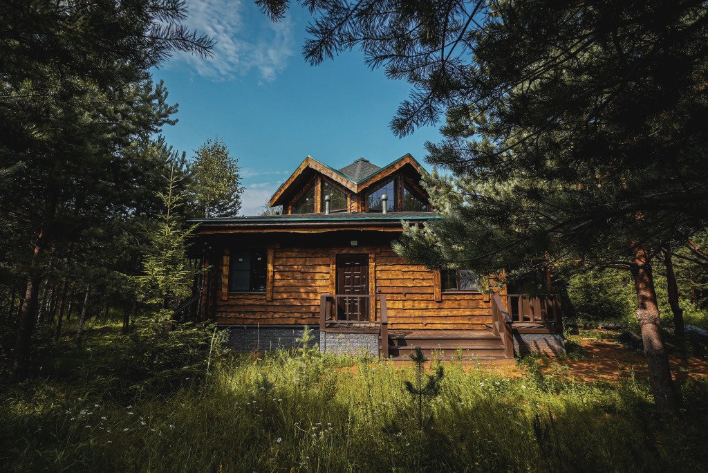 Дух Природы, Новгородская область: фото 4