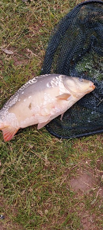 Фото из отзыва от 10.06.2025