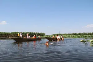 Экскурсии в долину лотосов в Астрахани