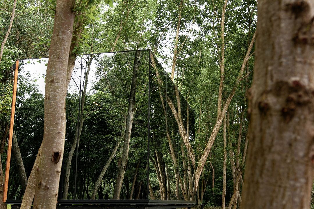 Лес, Ставропольский край: фото 3