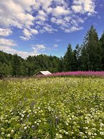 Двухместный Сафари-тент с горячим чаном с красивым видом из окна 2 отдельные кровати, Глэмпинг Мармар, поселок Харлу