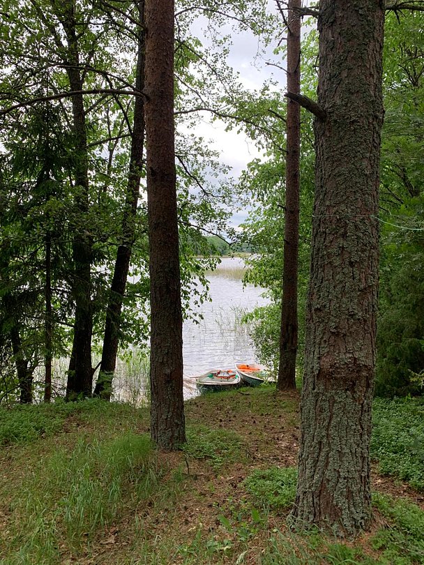 Фото 5 из отзыва о коттеджном комплексе Загородный курорт Твой Селигер