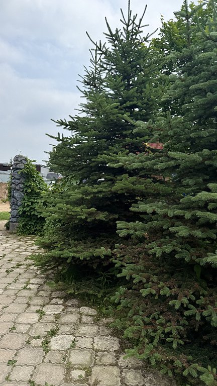 Фото из отзыва от 13.06.2025