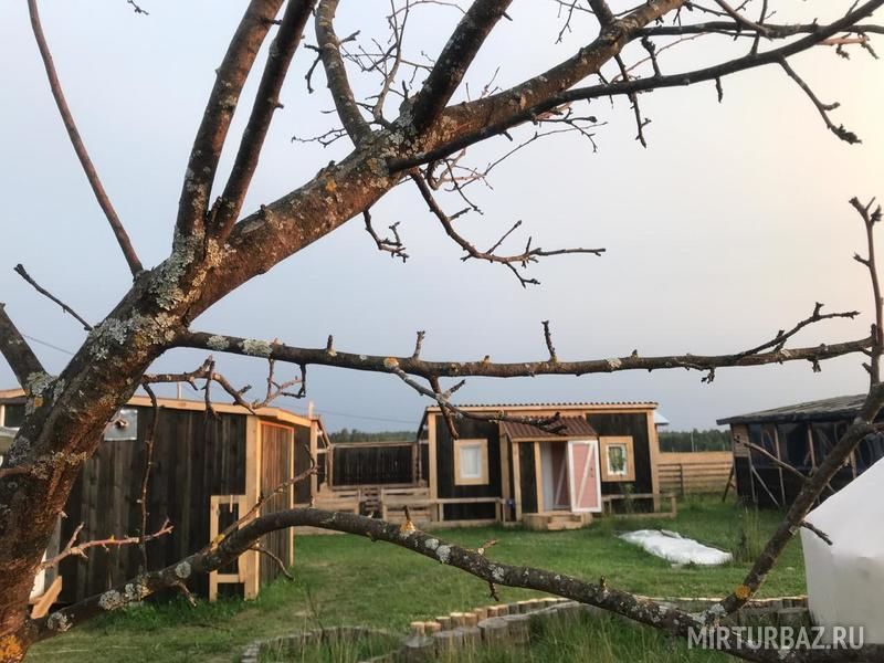 Ясная Поляна, Владимирская область: фото 4