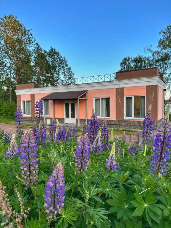 База отдыха Мичуринское озеро, Ленинградская область, поселок Мичуринское поселок Лососево поселок Коробицыно поселок Мичуринское