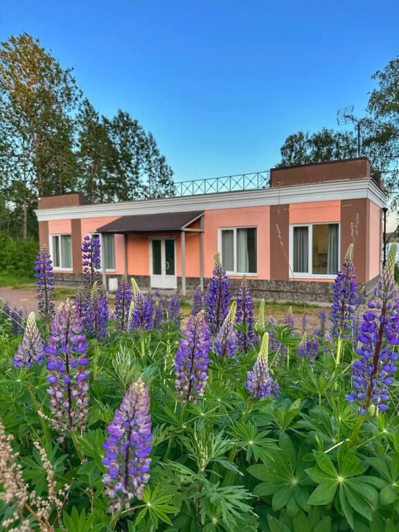 База отдыха Мичуринское озеро, поселок Мичуринское, Ленинградская область