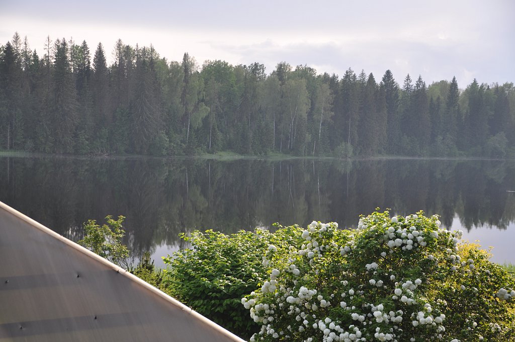 Фото из отзыва от 12.06.2025