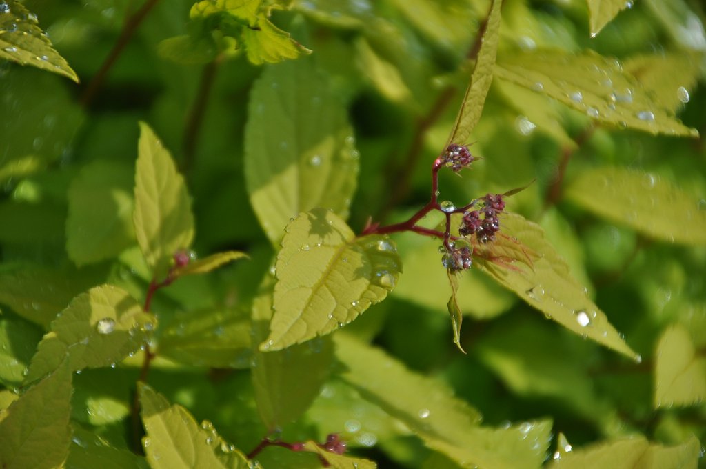 Фото из отзыва от 12.06.2025
