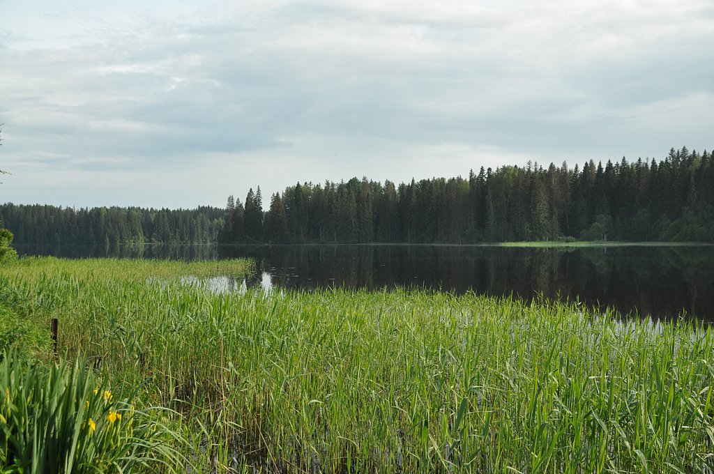 Фото из отзыва от 12.06.2025