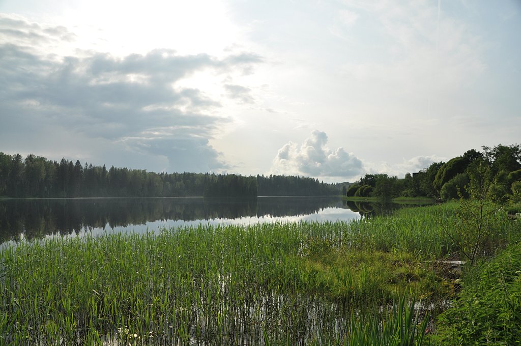 Фото из отзыва от 12.06.2025