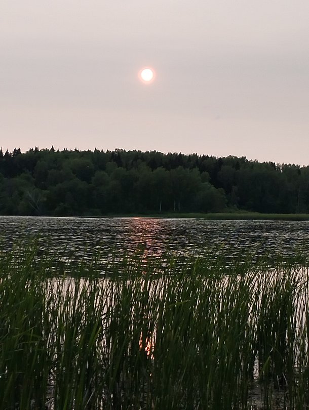 Фото 1 из отзыва о доме отдыха Боярская усадьба