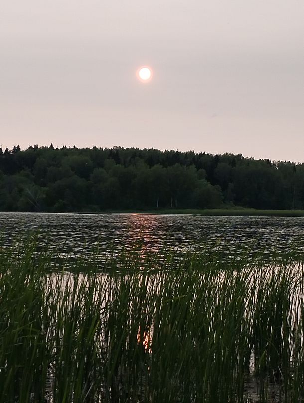 Фото 1 из отзыва о доме отдыха Боярская усадьба