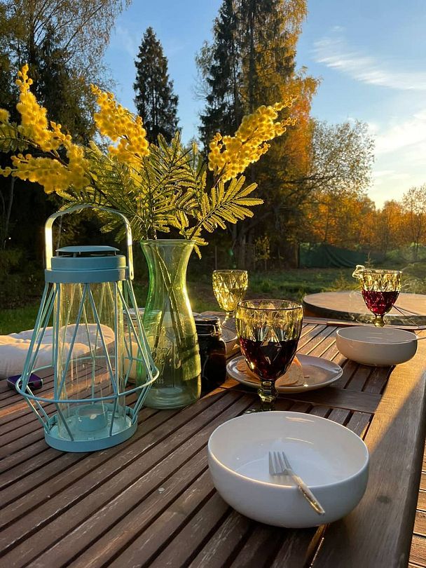 Vlesu, Московская область: фото 5