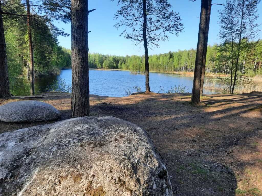 Лесная Усадьба , Ленинградская область: фото 4