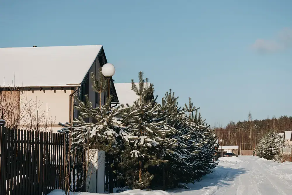 Лесная Усадьба , Ленинградская область: фото 2
