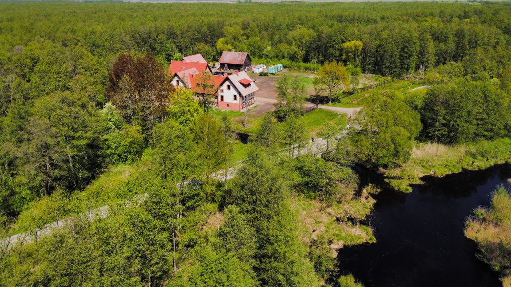 База отдыха  Лосиная долина Паит, Калининградская область: фото 2