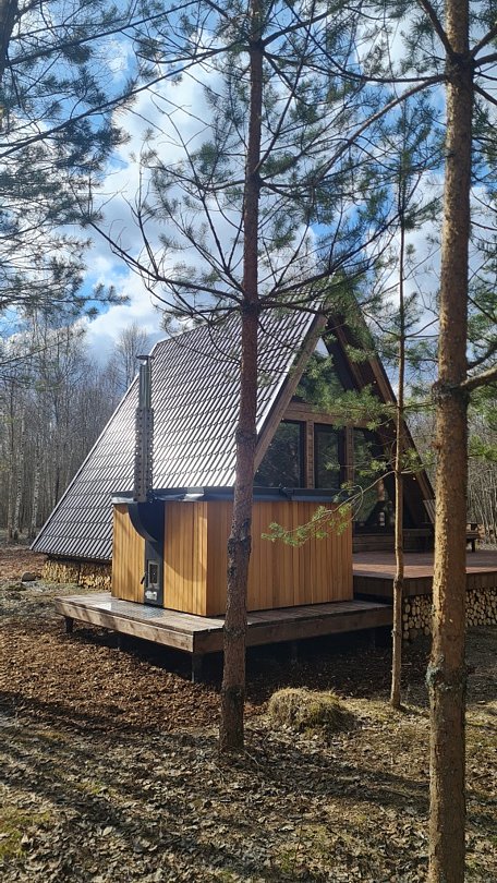 Ёлкино За Палкино  (домик 1 - Волчье Логово), Псковская область: фото 2