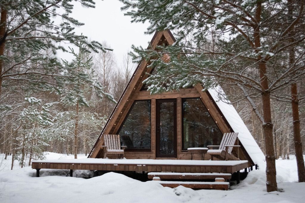 Ёлкино За Палкино  (домик 1 - Волчье Логово), Псковская область: фото 3