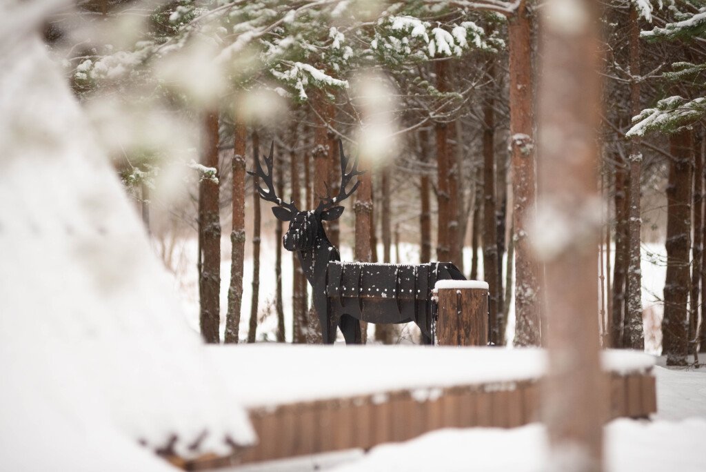 Ёлкино За Палкино  (домик 1 - Волчье Логово), Псковская область: фото 5