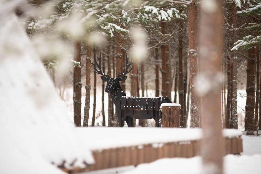 Ёлкино За Палкино  (домик 1 - Волчье Логово), Псковская область: фото 5