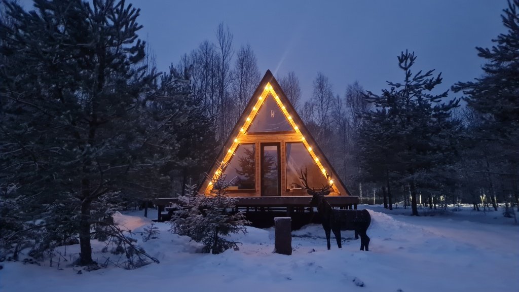 Ёлкино За Палкино (домик 2 -  Хатка Бобра), Псковская область: фото 2