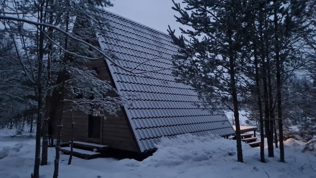 Ёлкино За Палкино (домик 2 -  Хатка Бобра), Псковская область: фото 3