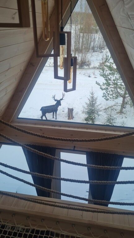 Ёлкино За Палкино (домик 2 -  Хатка Бобра), Псковская область: фото 5