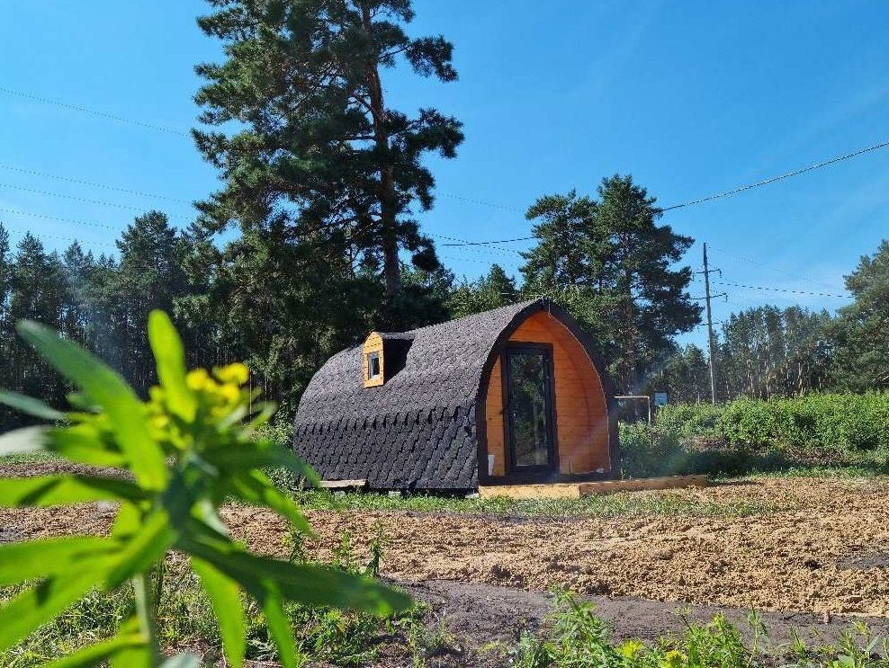 Лес, Курганская область: фото 3