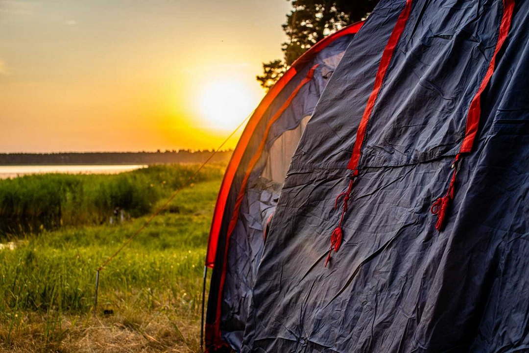 Лес, Курганская область: фото 5