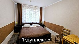 Дуплекс (корпус №1,№3 1- этаж), База отдыха Лесное поместье, Аргаяшский район