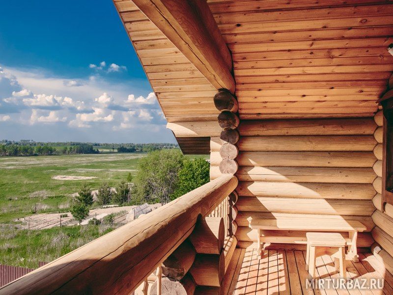 Отдых у Иваныча, Московская область: фото 4