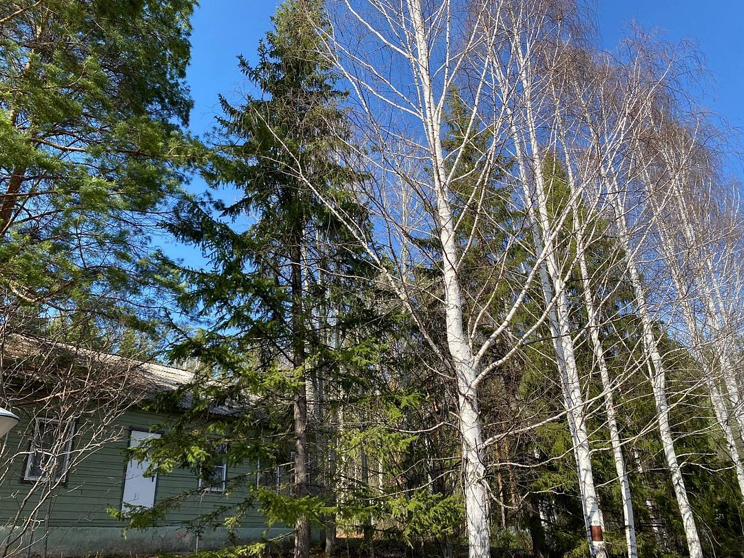 Бобры, Свердловская область: фото 4